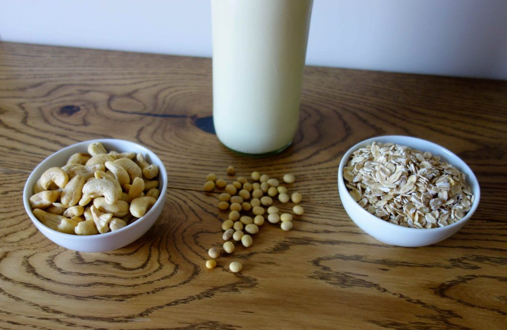 DIY Plant Milk: Soy Milk, Oat Milk and Nut Milk easily made at home