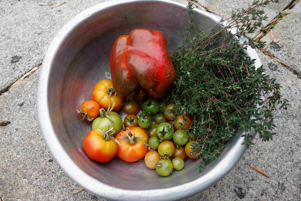 letztes Gartenupdate 2018